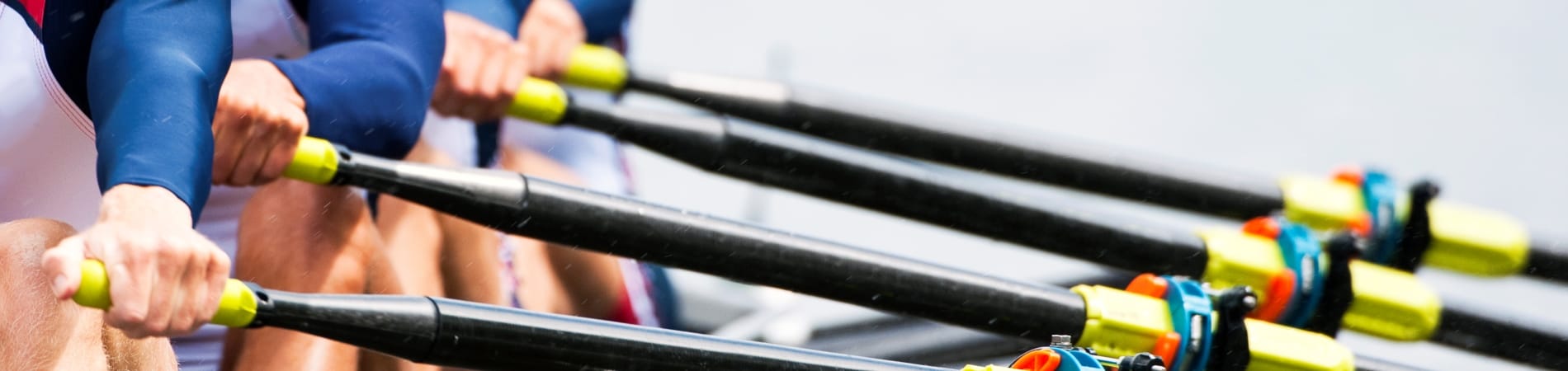 Cambridge Advanced Executive Coaching Programme Picture of people rowing