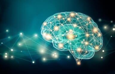 Optimising Neuroscience Picture to represent the human brain