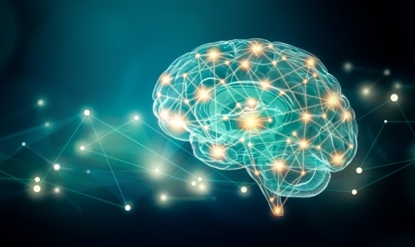 Optimising Neuroscience Picture to represent the human brain