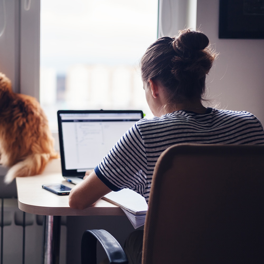 Picture of Girl student freelancer working at home on a task, the cat is sitting on the window