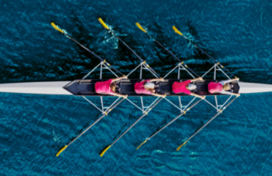 Cambridge Online Business Coaching Programme