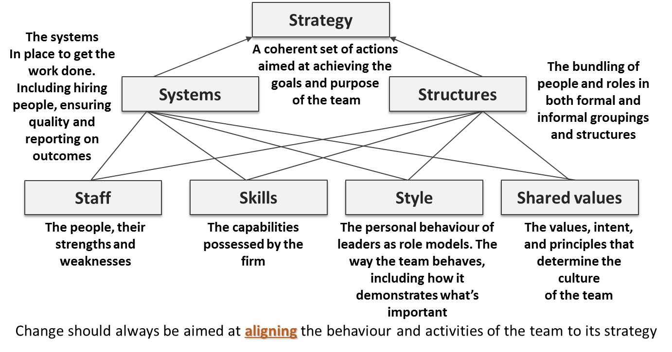 The McKinsey Alignment Framework (The 7s Model)